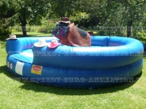 P1020593_-_Copie_copie_-_Copie