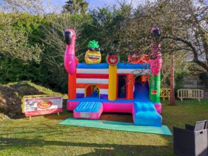 Multiplay Flamant Rose